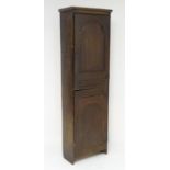 An early 18thC narrow oak cupboard with two carved panelled doors and original wrought iron