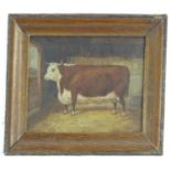J Box, XX, Oil on canvas laid on board, A portrait of a prize bull in a barn. Signed lower right.