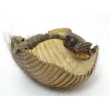 Taxidermy: a Victorian mount of an Armadillo formed as a basket, 8 1/4" long Please Note - we do not