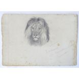 Manner of John Frederick Lewis (1804-1875), Pencil drawing on paper, A portrait of a lion, inscribed