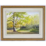 Initialled A, XX, English School, Watercolour, Tring Park, A wooded landscape scene in late
