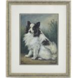 G. R. Minett, XIX-XX, Watercolour, A study of a seated border collie dog. Signed and dated 1923