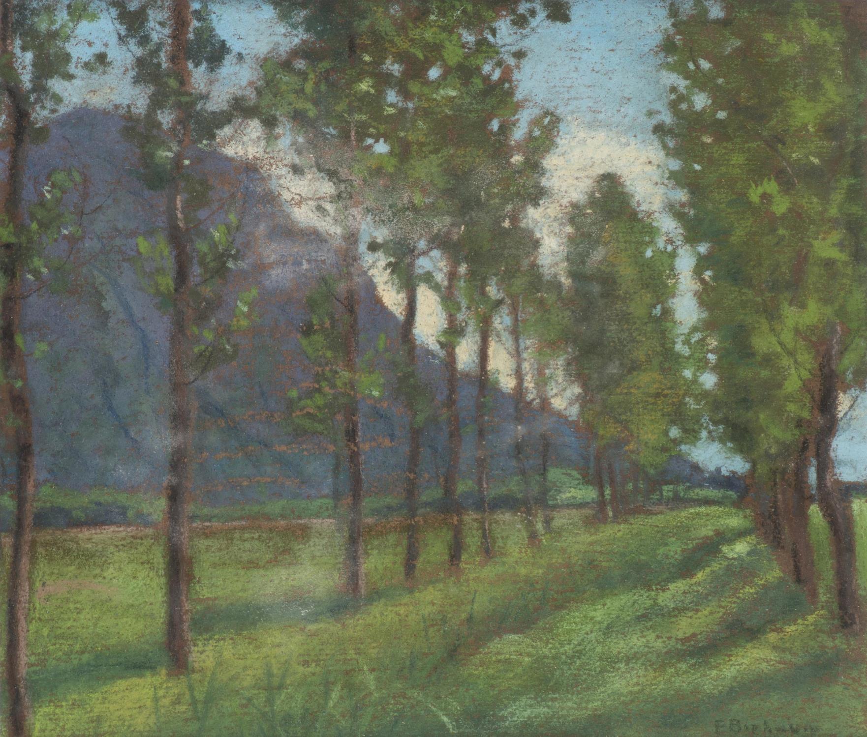 François Birbaum (1872-1947) "Plaine du Rhône près de Monthey". Pastel sur papier [...]