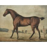 * Seymour (James, 1702-1752, manner of). A bay horse at York racecourse, mid-late 18th century