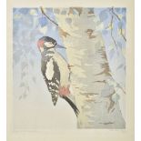 * Armitage (Jean, 1895-1988). Great Spotted Woodpecker, colour woodcut