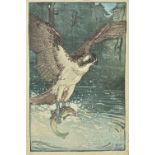 ARR * Seaby (Allen William, 1867-1953). Osprey, circa 1918