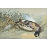 * Cruickshank (William, 1848-1922). Dead Pheasant in a Landscape, late 19th century