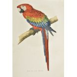 Greene (William Thomas). Parrots in Captivity, 3 volumes, 1st edition, 1884-7
