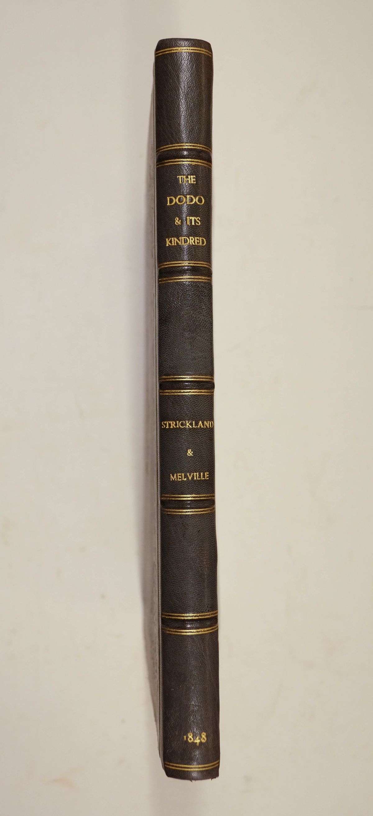 Strickland (Hugh Edwin). The Dodo and its Kindred, 1st edition, 1848 - Image 3 of 8