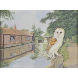 * Emberson (Colin, 20th century). Barn Owl by the river, watercolour