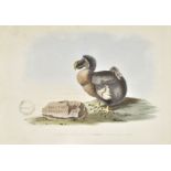 Strickland (Hugh Edwin). The Dodo and its Kindred, 1st edition, 1848