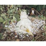 * Emberson (Colin, 20th century). Nesting Duck and Stoat, watercolour