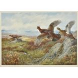 * Thorburn (Archibald, 1860-1935). Red Grouse, Feeding Mallard, Winter Partridges, 3 signed prints