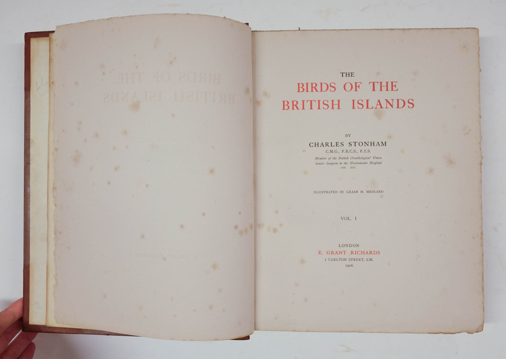 Stonham (Charles). The Birds of the British Islands, 5 volumes, 1st edition, 1906-11 - Image 5 of 8