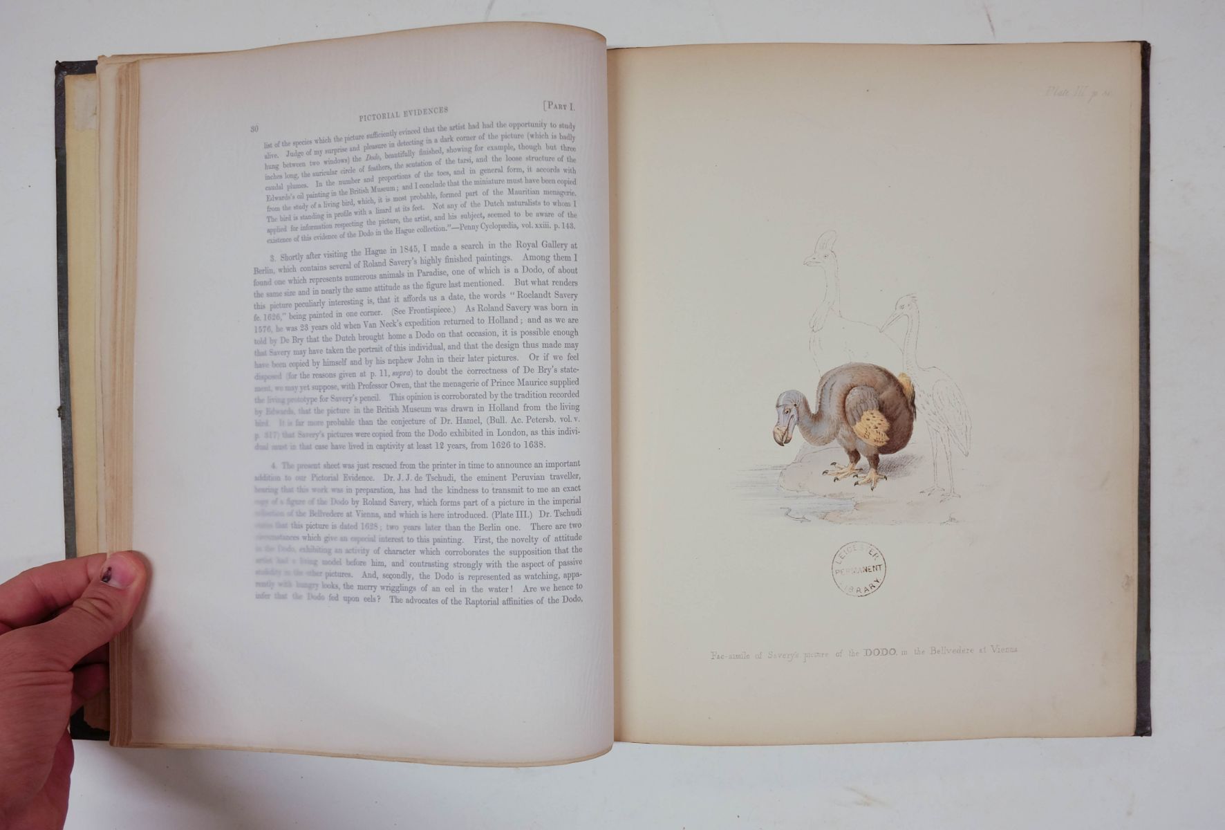 Strickland (Hugh Edwin). The Dodo and its Kindred, 1st edition, 1848 - Image 6 of 8