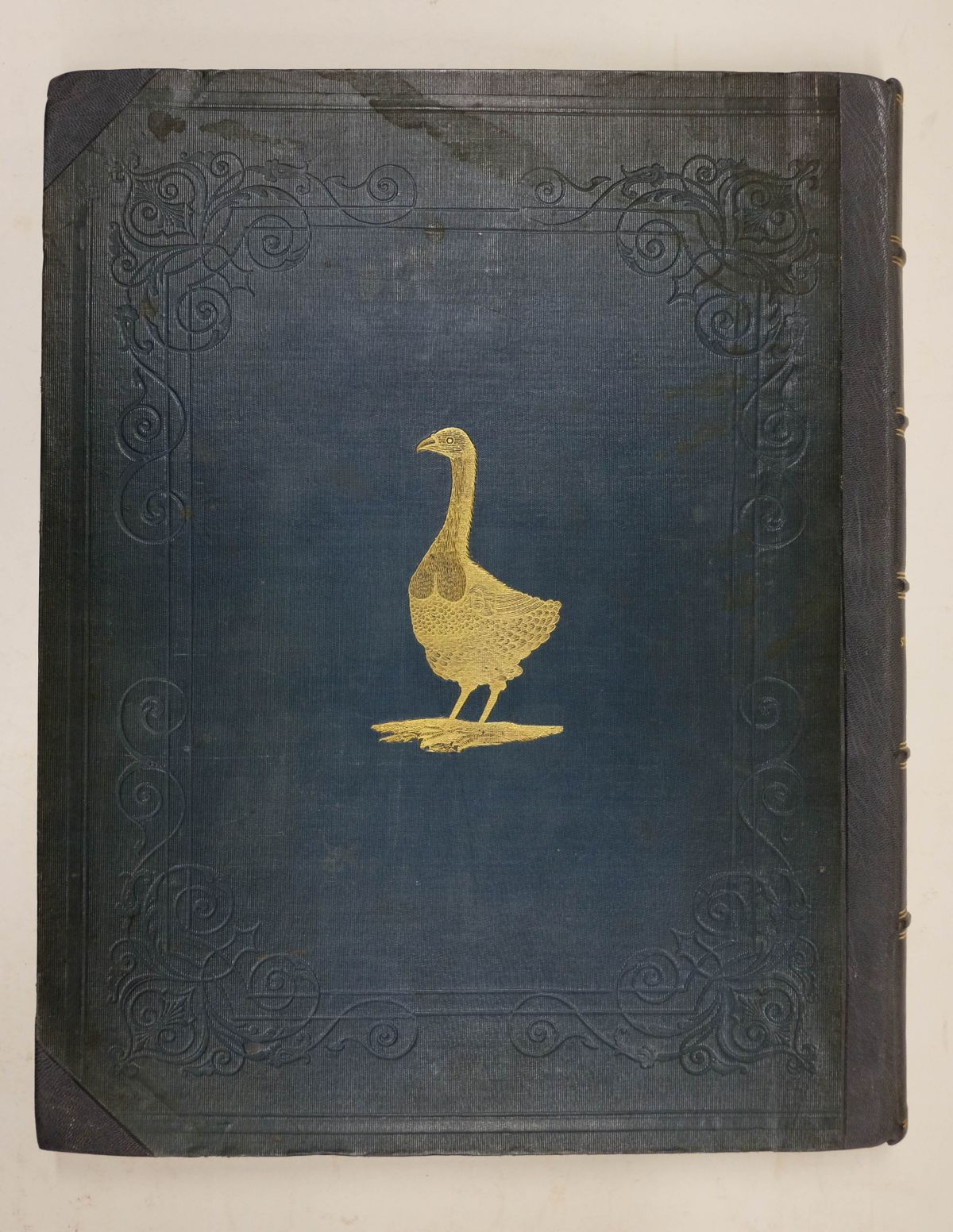 Strickland (Hugh Edwin). The Dodo and its Kindred, 1st edition, 1848 - Image 4 of 8