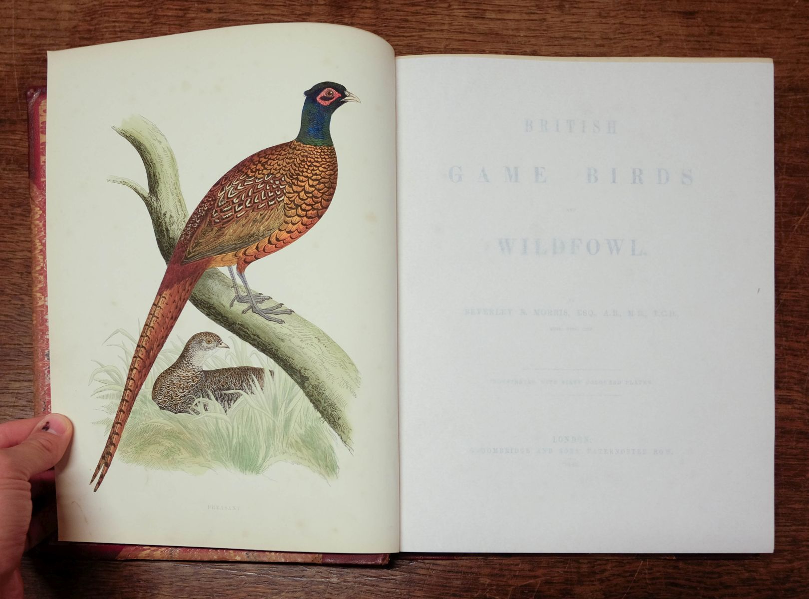 Morris (Beverley R.). British Game Birds and Wildfowl, 1864 - Image 6 of 12
