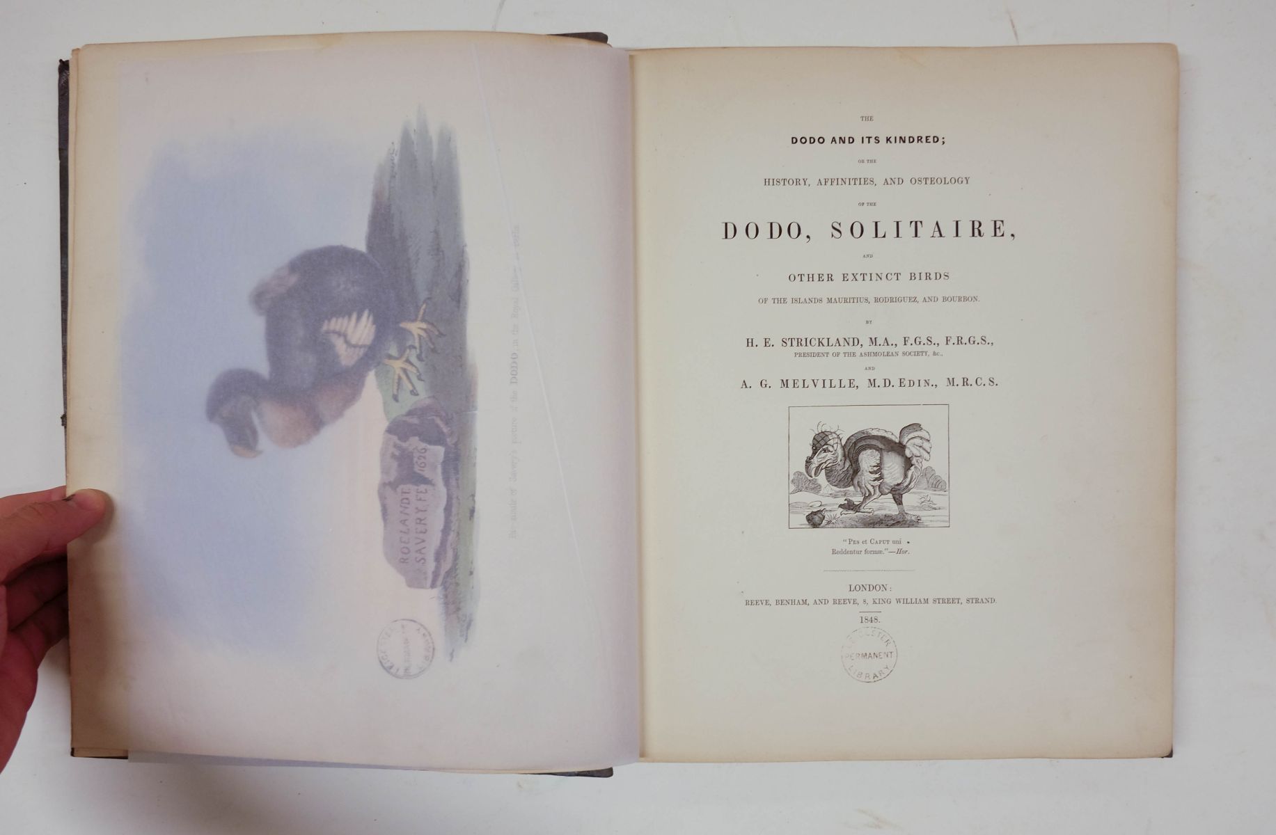 Strickland (Hugh Edwin). The Dodo and its Kindred, 1st edition, 1848 - Image 5 of 8