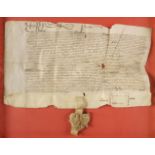 * Elizabeth I – Letters Patent. 1564