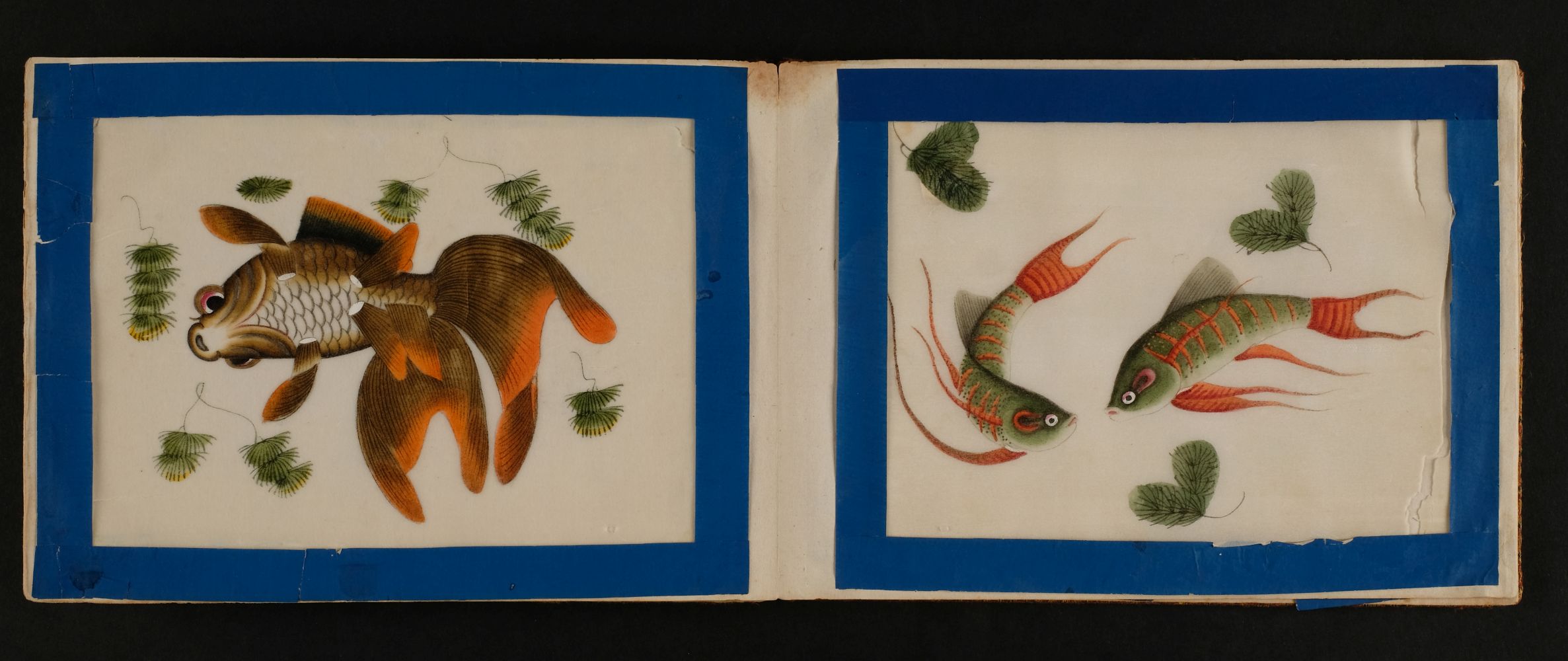 Chinese pith paintings. An album of twelve paintings of fish, circa 1850 - Image 3 of 5