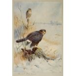* Thorburn (Archibald 1860 - 1935). A collection of eleven prints