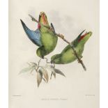 Rowley (George Dawson). Ornithological Miscellany, 1st edition, 1875-8