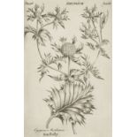 Hill (John). Herbarium Britannicum exhibens plantas Britanniae indigenas, 1769
