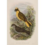 * Gould (J. & Hart W.), Six prints from The Birds of New Guinea 1875 - 88
