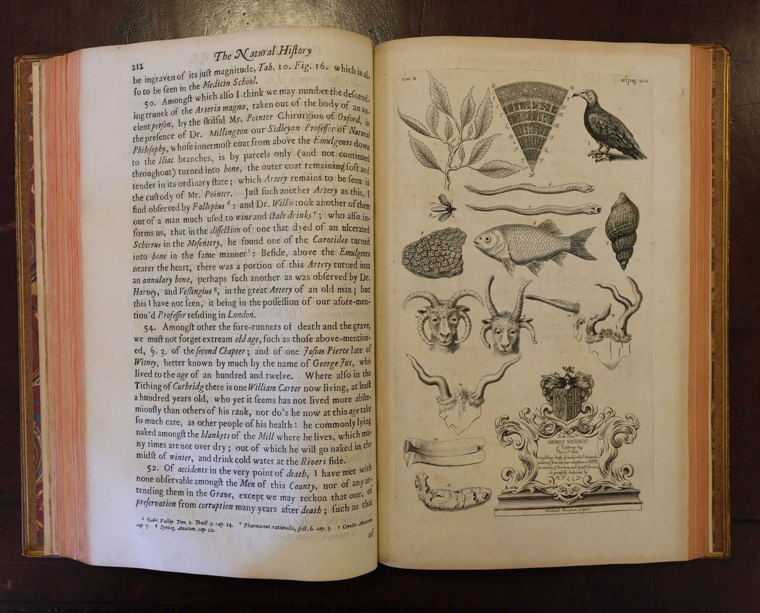 Plot (Robert). The Natural History of Oxford-shire, 1st edition, [1677] - Image 8 of 10