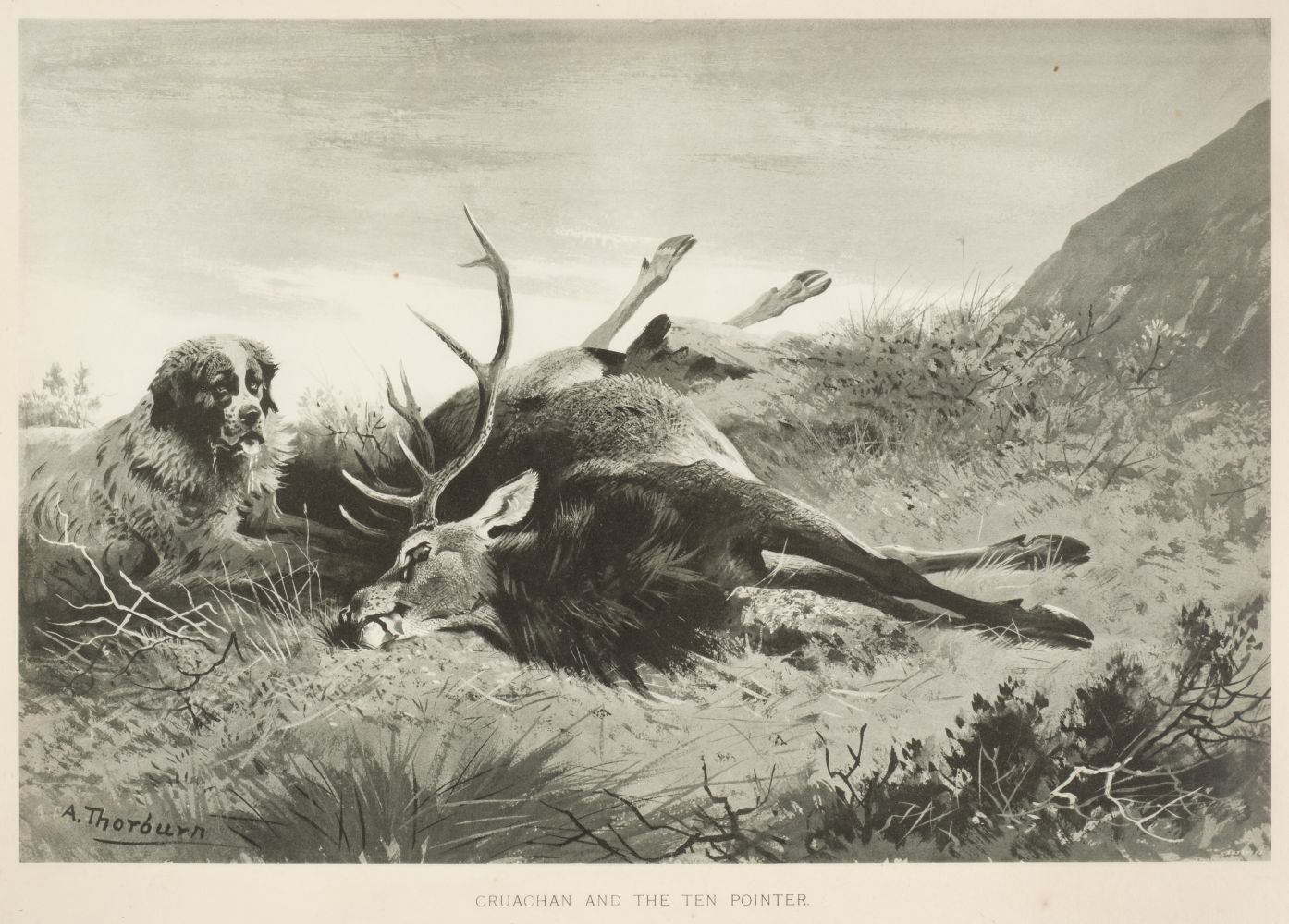 * Thorburn (Archibald, 1860 -1935). Six plates from A. Grimble's 'Highland Sport',