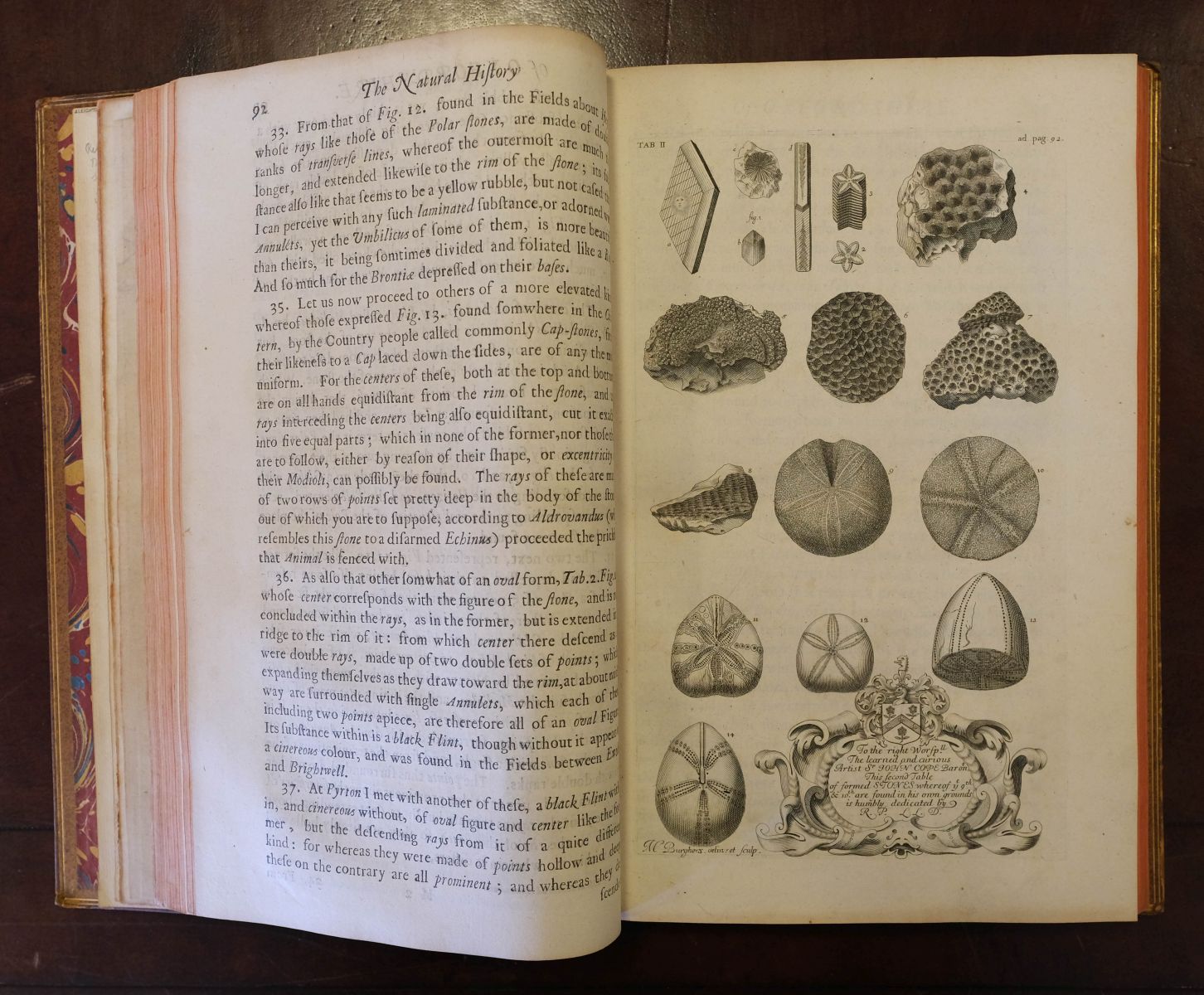 Plot (Robert). The Natural History of Oxford-shire, 1st edition, [1677] - Image 7 of 10
