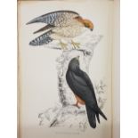 Natural History. A collection of mostly early 20th century & modern natural history reference