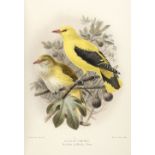 Lilford (Lord). Coloured Figures of the Birds of the British Islands, 2nd edition, 1891-7