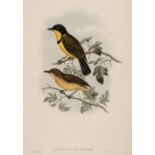 * Gould (J. & Hart W.). Six prints from The Birds of New Guinea, 1875 - 88