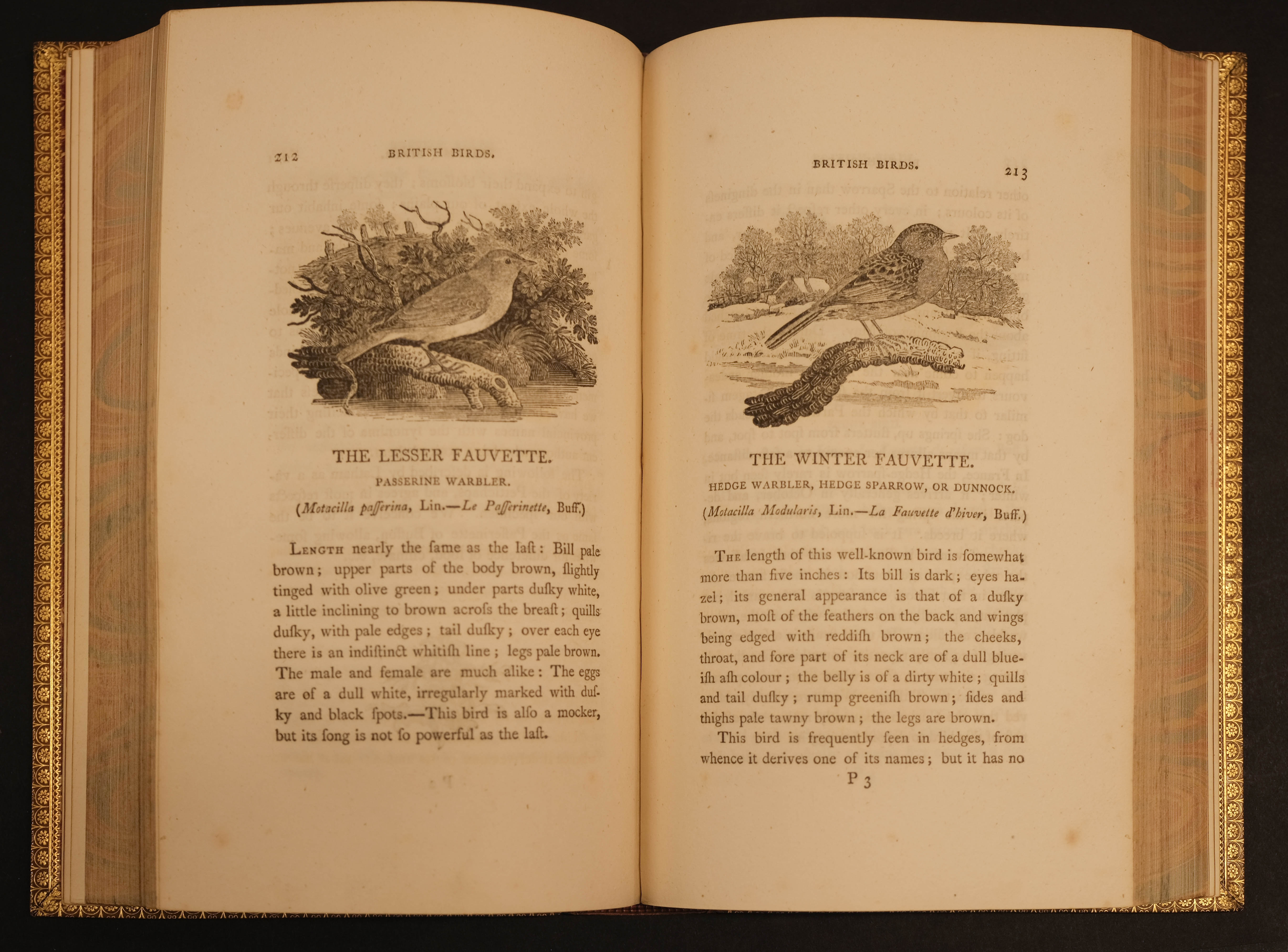 Bewick (Thomas). History of British Birds (Land/Water Birds), 2 vols. 1st ed., Newcastle, 1797-1804 - Image 7 of 10