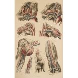 Maclise (Joseph). Surgical Anatomy, 2nd edition, 1856