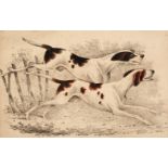 * Dogs. A mixed collection of approximately 400 prints & engravings, mostly 19th century
