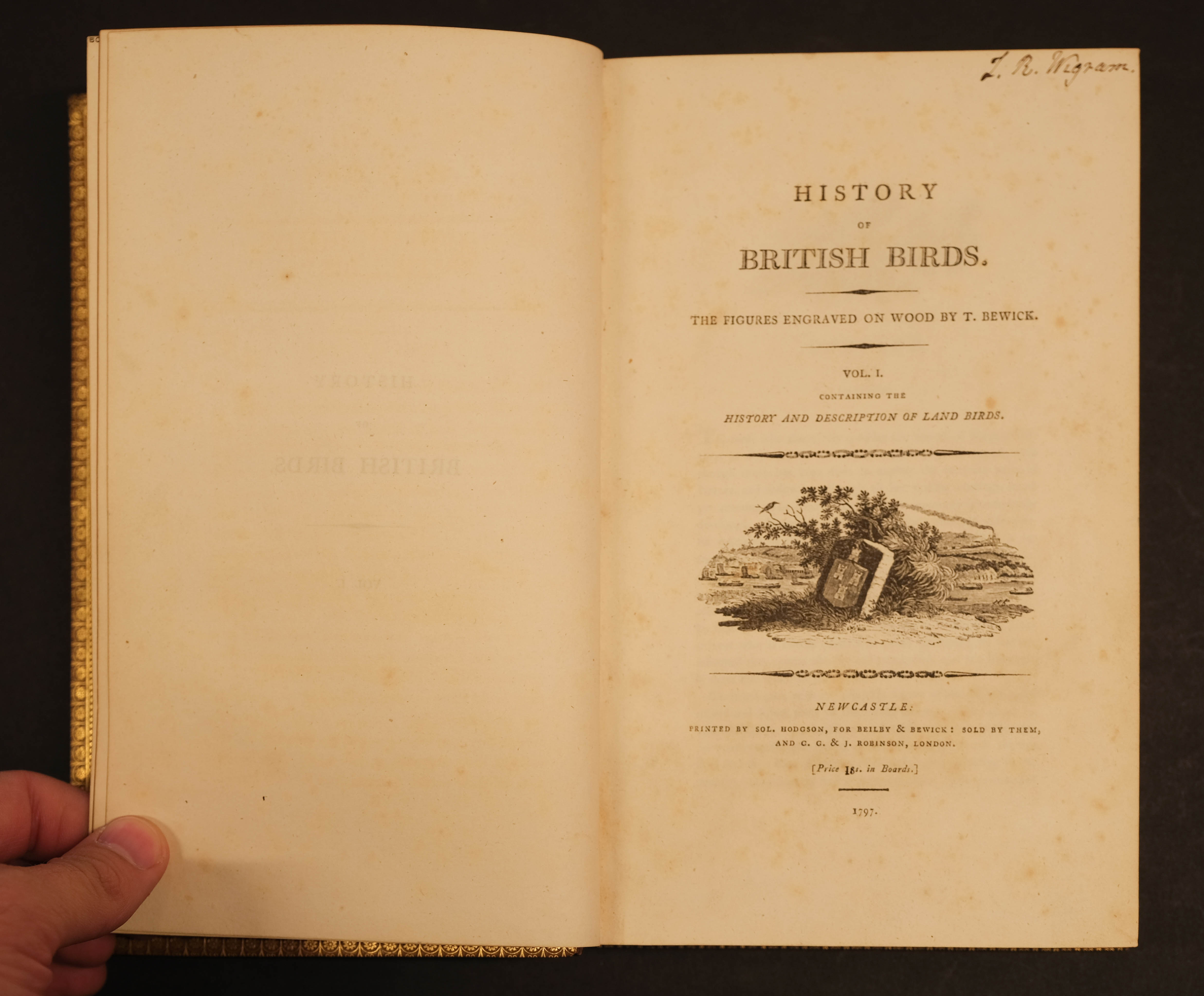 Bewick (Thomas). History of British Birds (Land/Water Birds), 2 vols. 1st ed., Newcastle, 1797-1804 - Image 5 of 10