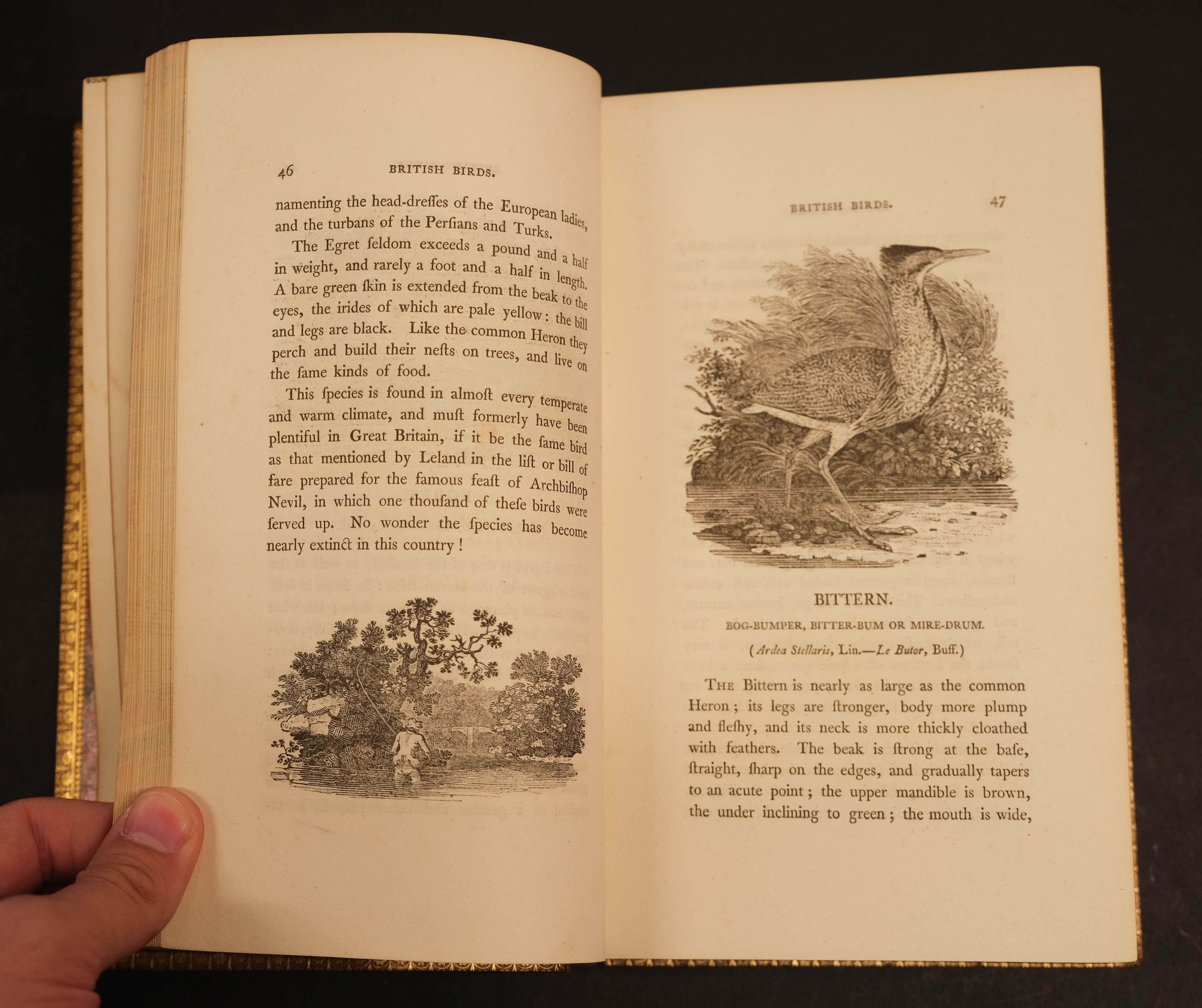 Bewick (Thomas). History of British Birds (Land/Water Birds), 2 vols. 1st ed., Newcastle, 1797-1804 - Image 9 of 10