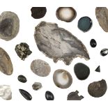 * Fossils & Minerals. A collection of fossils and minerals