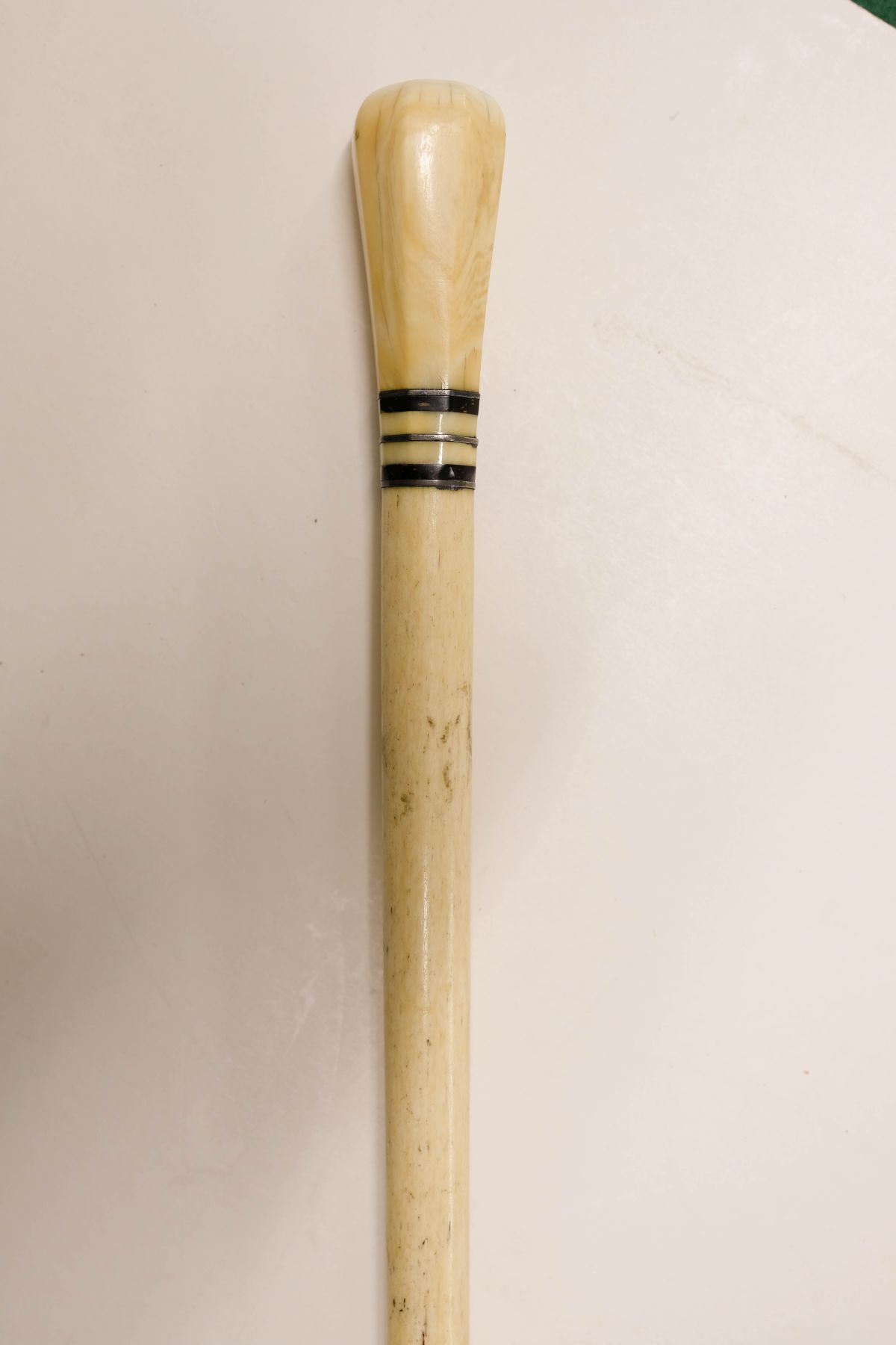 * Walking Stick. A George III whale bone walking stick - Image 7 of 10