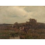 * Talmage (Algernon Mayow, 1871-1939). Cattle in Watermeadow