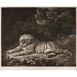 * Laurie, (Robert, circa 1755-1836). A Tigress, after George Stubbs, 1800,