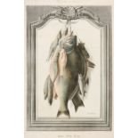 * Natural History & Sporting. A collection of fourteen prints, 19th century