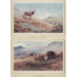 * Thorburn (Archibald, 1860 - 1935). Four prints of Red Deer, 1907