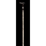 * Whalebone Stick. A Victorian whalebone stick