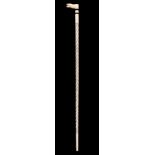 * Whalebone Stick. A Victorian whalebone stick