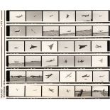 * Aviation Negatives. A collection of 4,600 black & white negatives