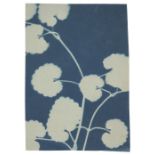 * Jacques (Bertha Evelyn, 1863-1941). Plant study, c. 1900/06, cyanotype