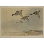 FRANK SOUTHGATE (1872-1916) A set of six coloured prints of game birds